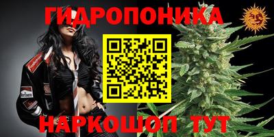 марихуана Краснознаменск