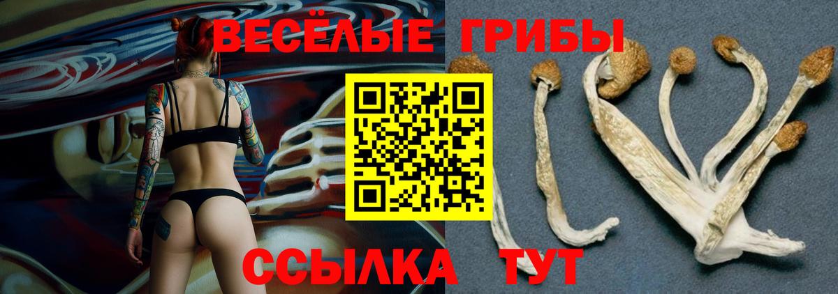 Галлюциногенные грибы ЛСД Тайшет