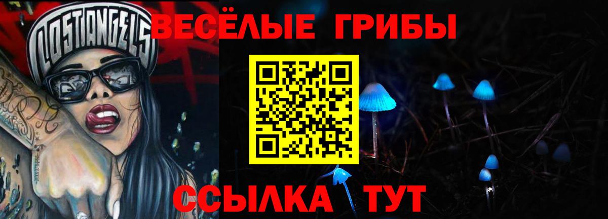 продажа наркотиков  Псилоцибиновые грибы Psilocybe  Тайшет  Псилоцибиновые грибы Psilocybe 